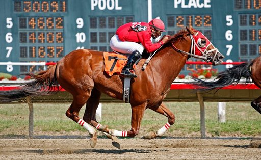 Visitors exploring visit churchill downs and the kentucky derby