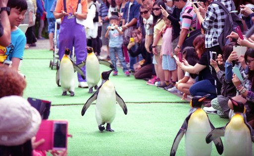 Visitors exploring experience family-friendly attractions