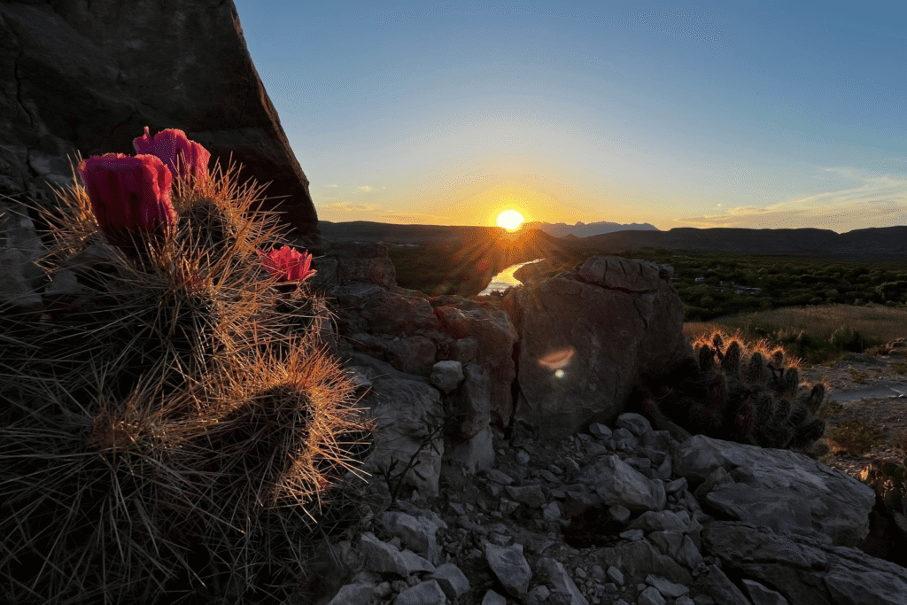 Things to Do in Texas: Ultimate Lone Star State Guide