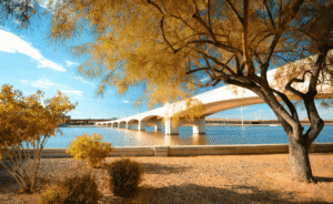 fall at Tempe Town Lake