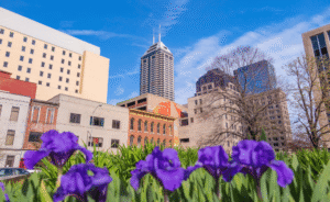 indianapolis