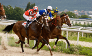 horse racing in action